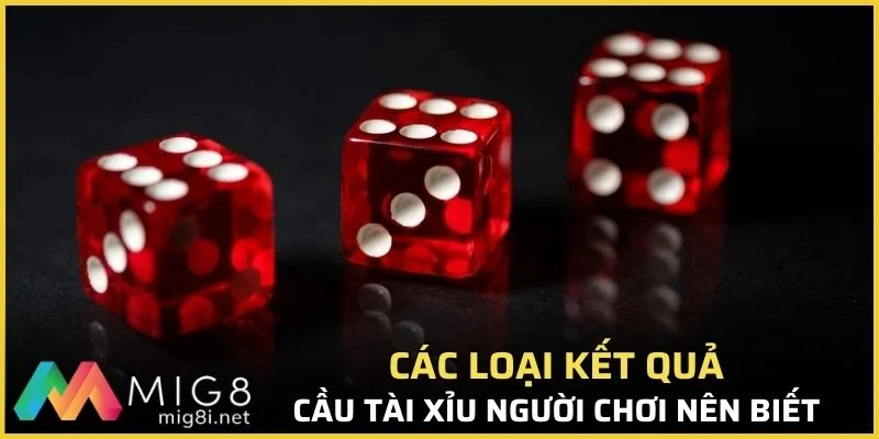 Các loại kết quả cầu tài xỉu người chơi nên biết